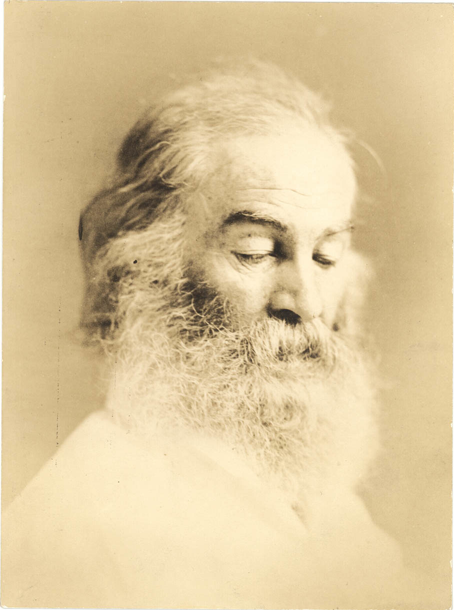 This and other Whitman photographs from this period would seem to be classic examples of  photographer W. Kurtz's "Rembrandt" style of light and shadow, a style Kurtz pioneered in 1867. Whitman's "attitude and aspect" [is] here suggestive of "the shadow of the national catastrophe, which was to crush him as well as so many thousand others . . . already falling upon him and darkening his life."