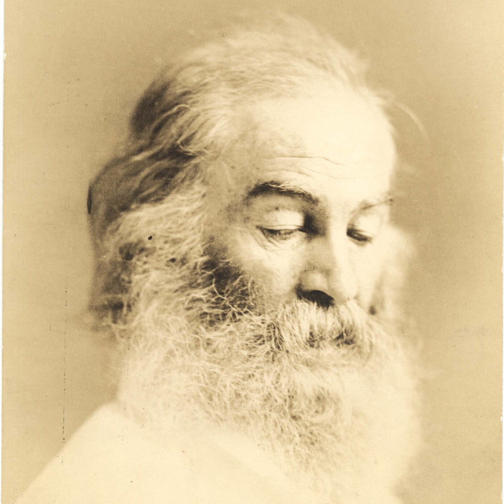 This and other Whitman photographs from this period would seem to be classic examples of  photographer W. Kurtz's "Rembrandt" style of light and shadow, a style Kurtz pioneered in 1867. Whitman's "attitude and aspect" [is] here suggestive of "the shadow of the national catastrophe, which was to crush him as well as so many thousand others . . . already falling upon him and darkening his life."