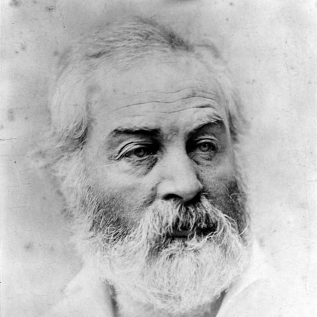 Photo A. Gardner, 1863.  According to Whitman, "the best picture of all...".