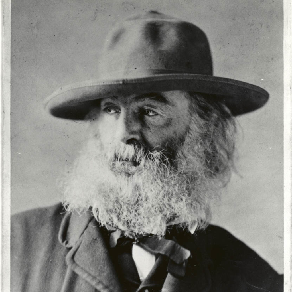 Whitman between 1866 and 1869 (photo W. Kurtz):  "the sombrero picture--the nice adjustment between light and shade..."